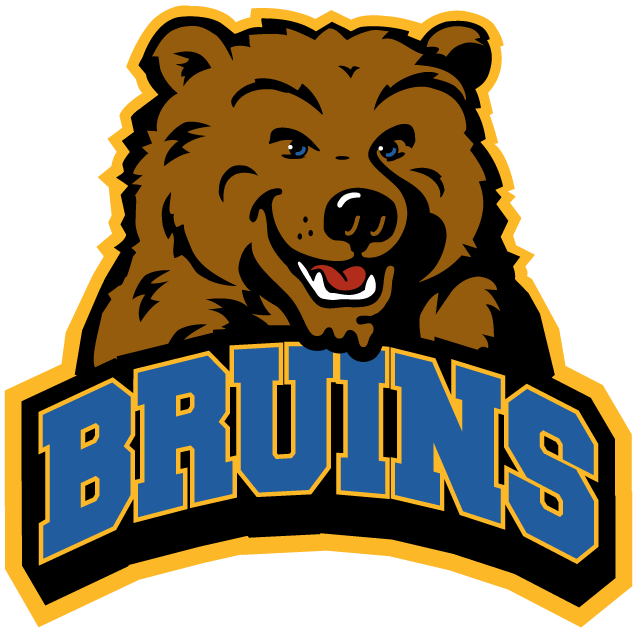 UCLA Bruins 2004-Pres Alternate Logo v3 DIY iron on transfer (heat transfer)